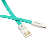 PISEN 品胜 Micro USB数据充电线二代 800mm白色